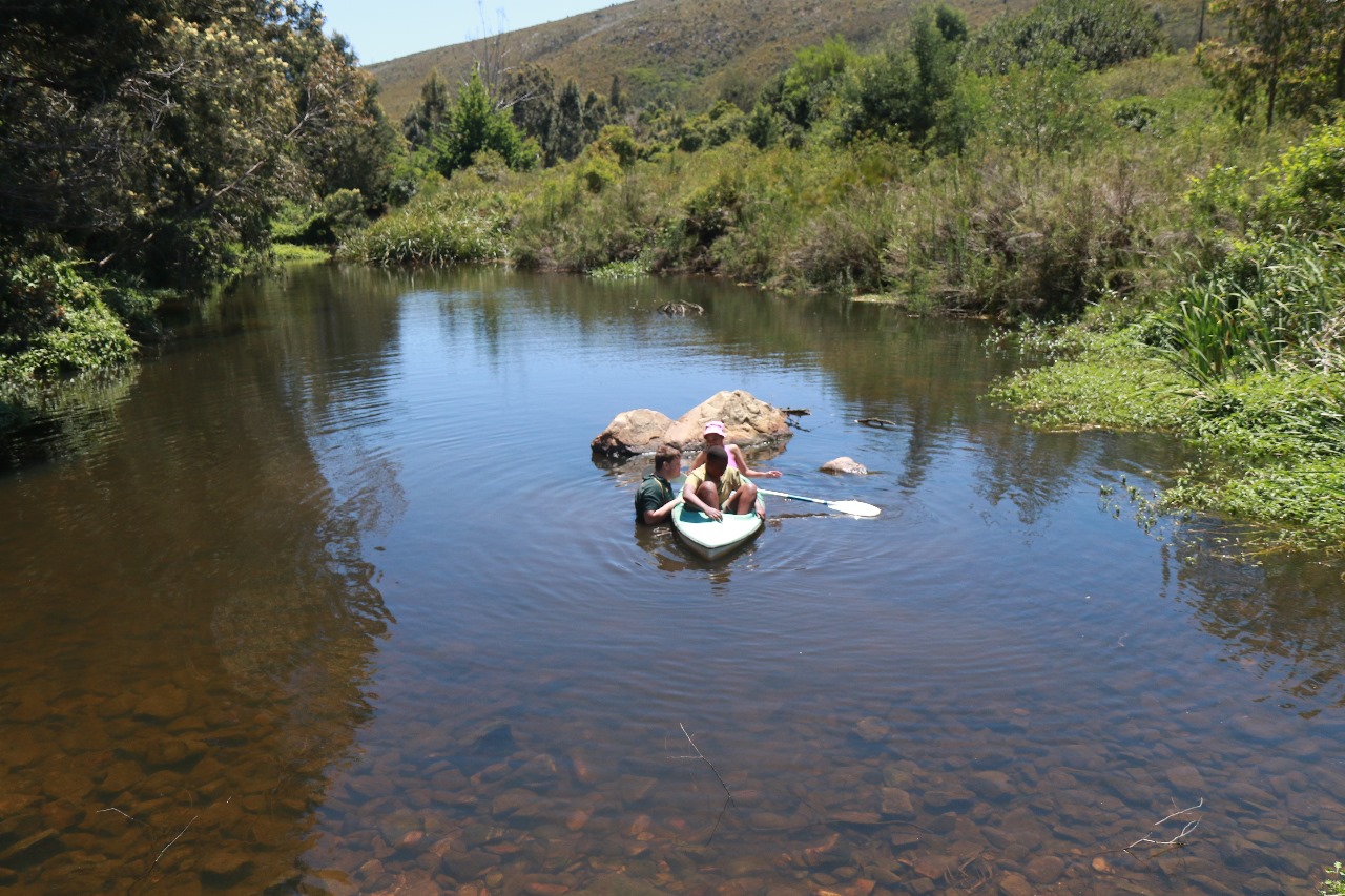 IMG-20251103-WA0049